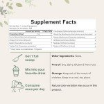 Organic Mushroom Complex Powder for Immune Support