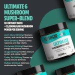 Ultimate Vegan Mushroom Powder for Focus & Memory