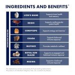 Mushroom Immune Support Powder - 7 Species Blend