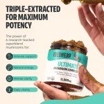 Ultimate Vegan Mushroom Powder for Focus & Memory