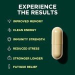 Vegan Brain Boost: Lion’s Mane & Reishi Capsules