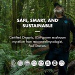 Mushroom Immune Support Powder - 7 Species Blend