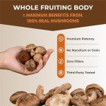 Organic Mushroom Coffee Booster with Adaptogens & Nootropics