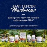 Mushroom Immune Support Powder - 7 Species Blend