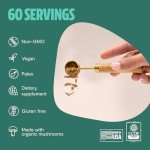 Ultimate Vegan Mushroom Powder for Focus & Memory