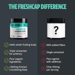 Ultimate Vegan Mushroom Powder for Focus & Memory