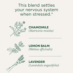 Chamomile & Lavender Herbal Tea for Stress Relief