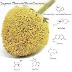 Organic Chamomile Tea - 1LB Resealable Bag