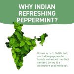 Peppermint Tea Bags - 100 Count, Vegan Friendly