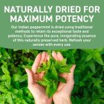 Peppermint Tea Bags - 100 Count, Vegan Friendly