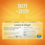Lemon & Ginger Herbal Tea Bags - 100 Count