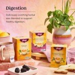 Ginger Herbal Tea for Digestion - 6 Pack