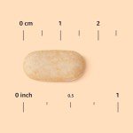 Vegan Vitamin C 1000mg Immune Support – 300 Tablets