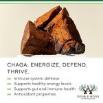 Organic Chaga Mushroom Capsules - 120 Count