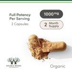 Vegan Lion's Mane Mushroom Capsules for Brain Health
