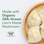 Vegan Lion's Mane Mushroom Capsules for Brain Health