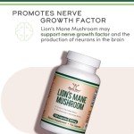 Vegan Lion's Mane Mushroom Capsules for Brain Health