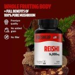 Reishi Mushroom Capsules – 14,000mg Herbal Supplement