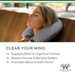 Vegan Lion's Mane Mushroom Capsules for Brain Health