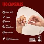 Reishi Mushroom Capsules – 14,000mg Herbal Supplement