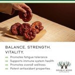 Reishi Mushroom Capsules for Immune Support - 300 Count