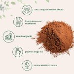 Micro Ingredients Organic Chaga Mushroom Extract 100:1 Powder, 10 Ounce | Wild Harvest Mushroom, Chaga Tea, Superfood for Beverage and Smoothie, Vegan Friendly