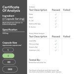 Reishi Mushroom Capsules for Immune Support - 300 Count