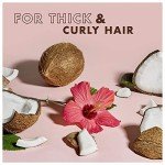 Vegan Curl & Shine Shampoo and Conditioner Set