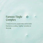 Tea Tree Shampoo for Oily Hair, Deep Cleanse