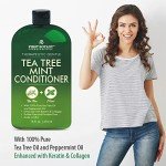 Tea Tree Mint Shampoo & Conditioner Set 16 fl oz