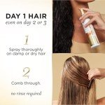 Vegan Leave-In Detangler Spray for Damaged Hair