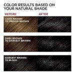 Vegan Cool Black Permanent Hair Color for Gray Coverage