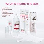 Vegan Cool Black Permanent Hair Color for Gray Coverage