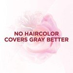 Vegan Cool Black Permanent Hair Color for Gray Coverage