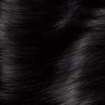 Vegan Cool Black Permanent Hair Color for Gray Coverage