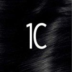 Vegan Cool Black Permanent Hair Color for Gray Coverage