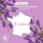 Lavender Essential Oil - Pure & Natural 4 Oz