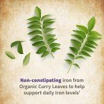 Vegan Prenatal Multivitamins with Folate & D3