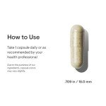 Thorne Vegan Iron Bisglycinate Supplement - 60 Capsules