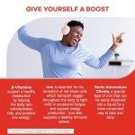 Vegan Vitamin and Iron Liquid Supplement 12 Oz