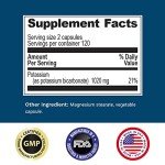 Vegan Potassium Supplement, 1020 mg, 240 Caps