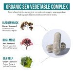Organic Sea Vegetable Iodine Supplement – Vegan Formula