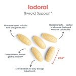 Vegan Iodine Supplement for Thyroid Support - 90 Tablets