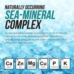 Organic Sea Vegetable Iodine Supplement – Vegan Formula