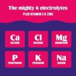 Vegan Electrolyte Drink Mix – Sugar Free Lemonade