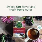 Organic Echinacea & Elderberry Immune Support Tea
