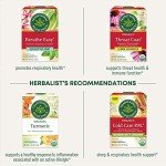 Organic Echinacea & Elderberry Immune Support Tea