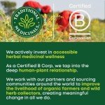Organic Echinacea & Elderberry Immune Support Tea