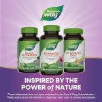Echinacea Purpurea Immune Support Capsules – Vegan 180ct