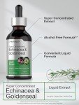 Horbäach Echinacea Goldenseal Alcohol-Free Extract Drops